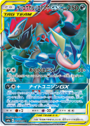 Greninja & Zoroark GX SR 058/055 SM9a