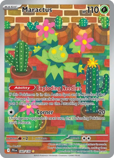 Maractus - 160/159