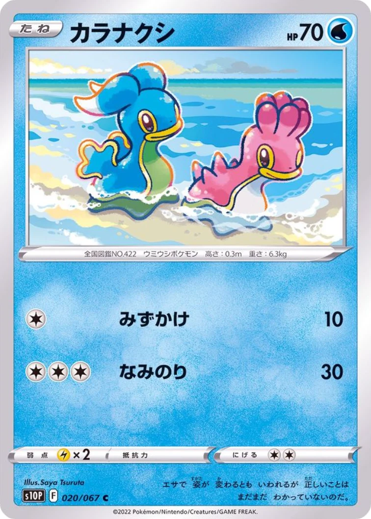 Shellos C[s10P 020/067]